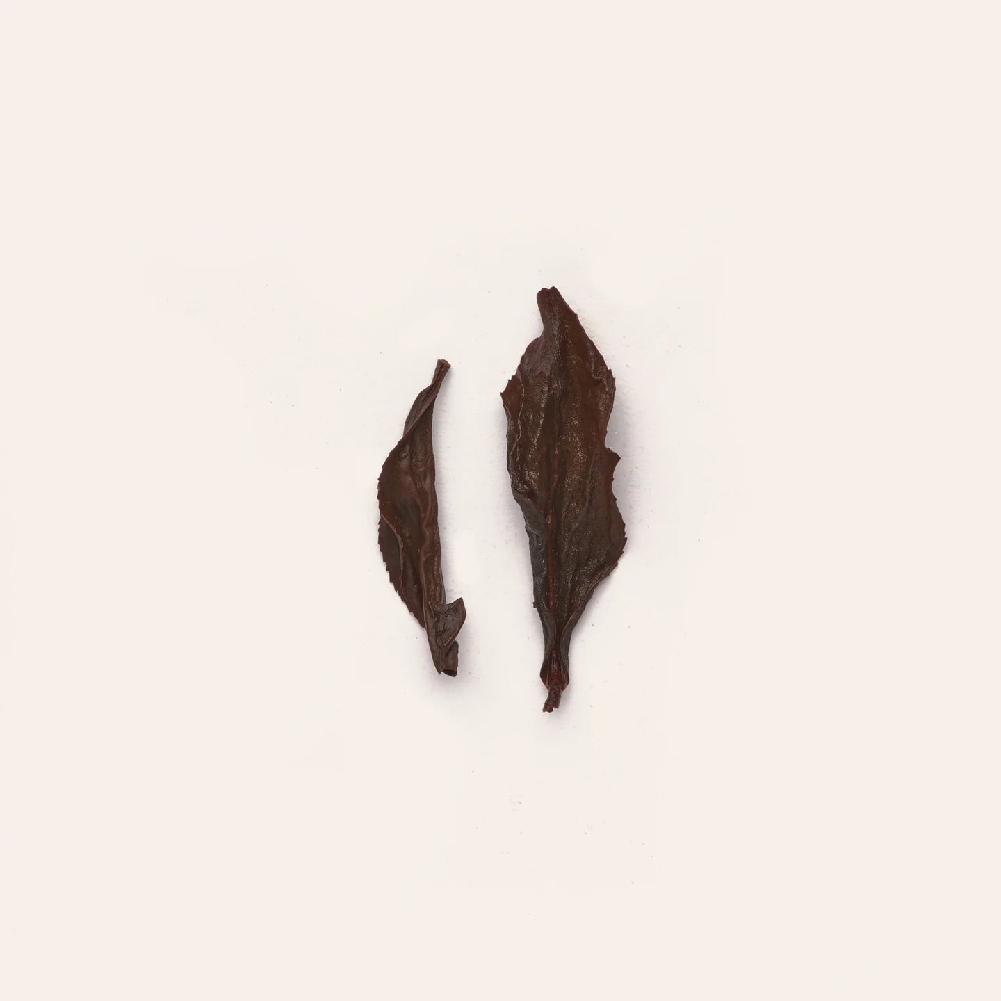 Discovery Tea Box (Pre-Order)