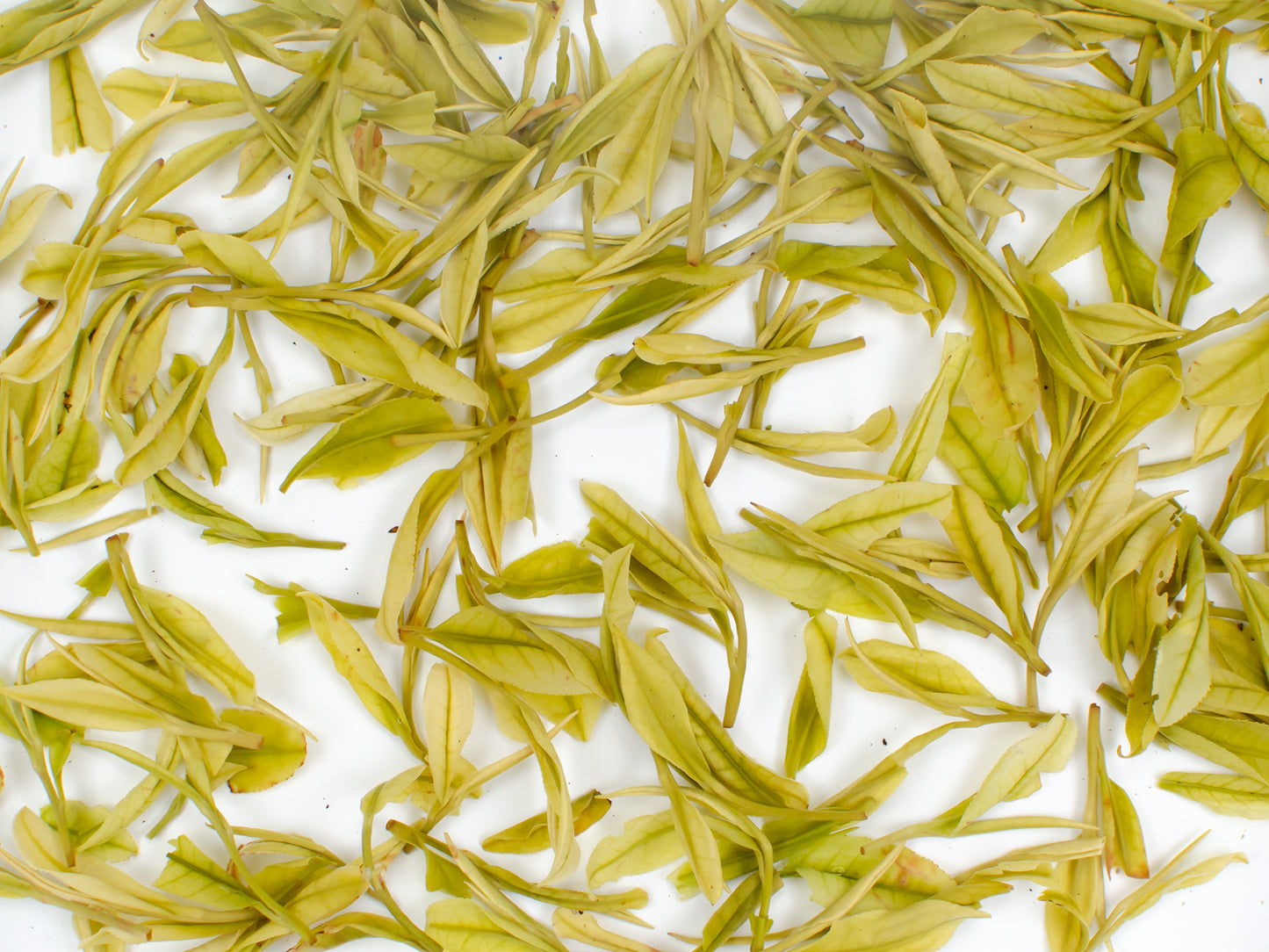 Discovery Tea Box (Pre-Order)